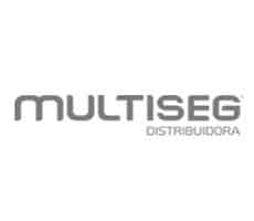 Multiseg Distribuidora